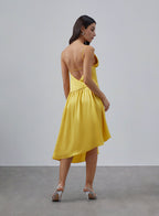 Vivid V-neck Silk Slip Dress