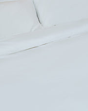 NAP Standardized v1 · detail-crop