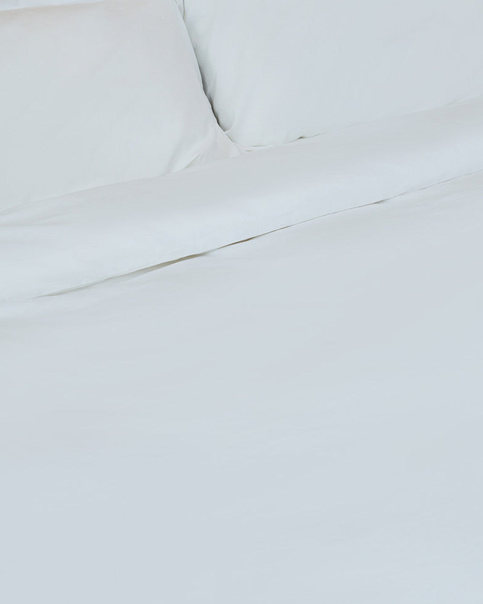 NAP Standardized v1 · detail-crop