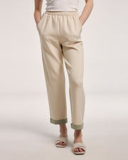 NAP Standardized v1 · color-01