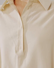 NAP Standardized v1 · detail-crop